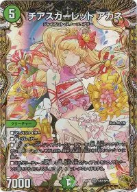 チアスカーレット アカネ(金トレジャー)