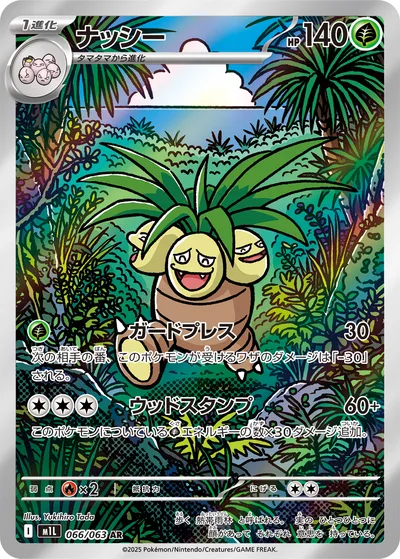 ナッシー