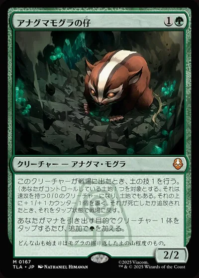 アナグマモグラの仔/Badgermole Cub