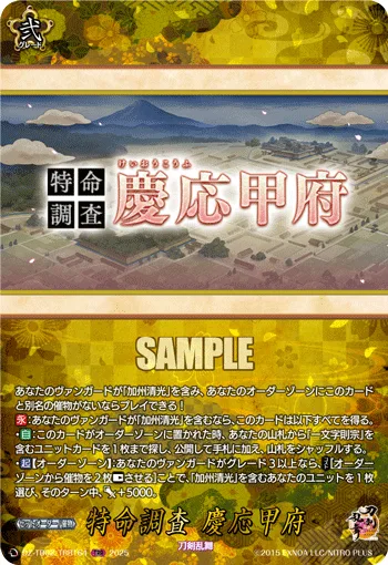 特命調査 慶応甲府