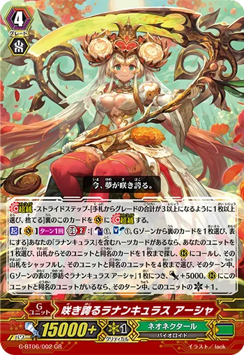 咲き誇るラナンキュラス アーシャ