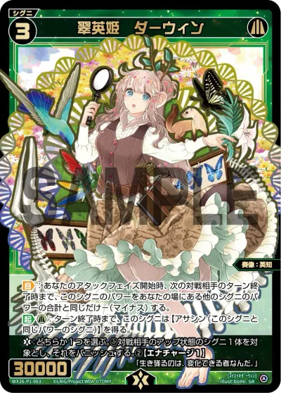 翠英姫 ダーウィン