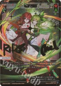 竜花相搏(サイン入り)