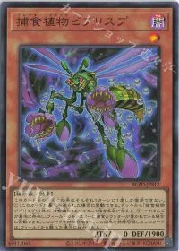 捕食植物ビブリスプ