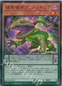 捕食植物ブフォリキュラ