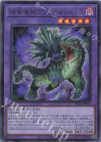 捕食植物アンブロメリドゥス