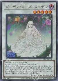 ガーデン・ローズ・メイデン
