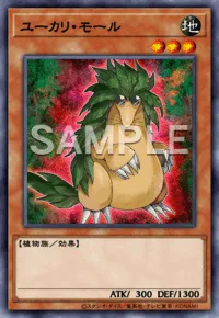 ユーカリ・モール