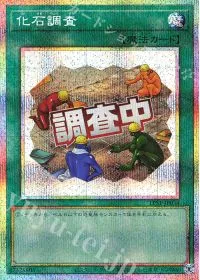 化石調査