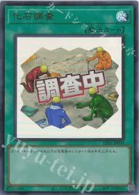 化石調査