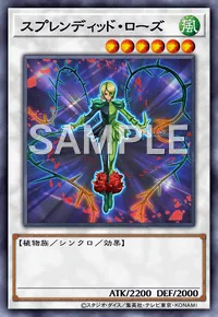 スプレンディッド・ローズ